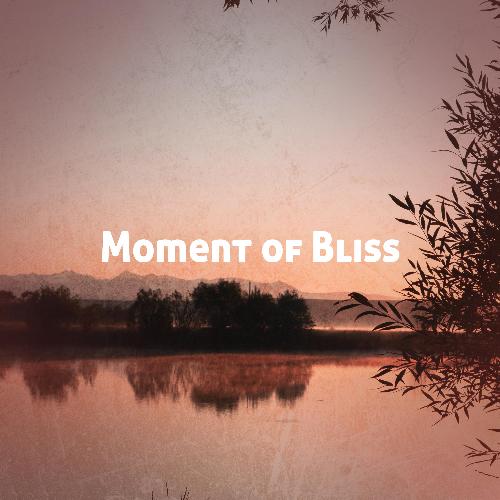 Moment of Bliss_poster_image