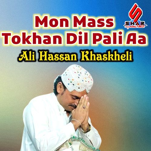 Mon Mass Tokhan Dil Pali Aa