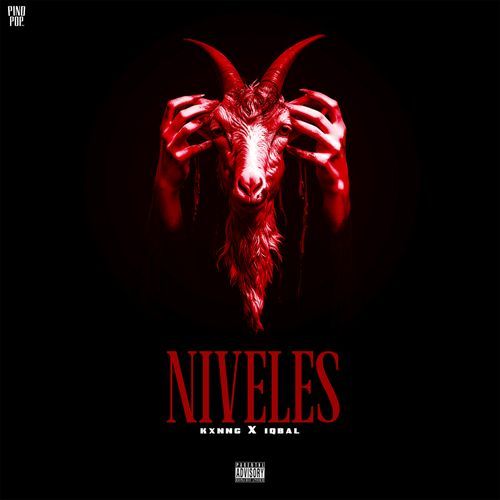 NIVELES