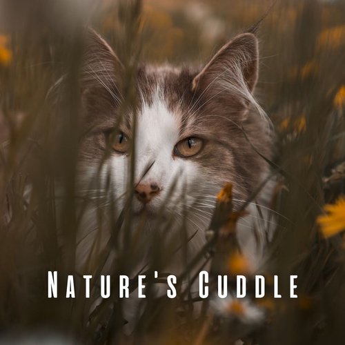 Calming Cat's Soundscape cover art