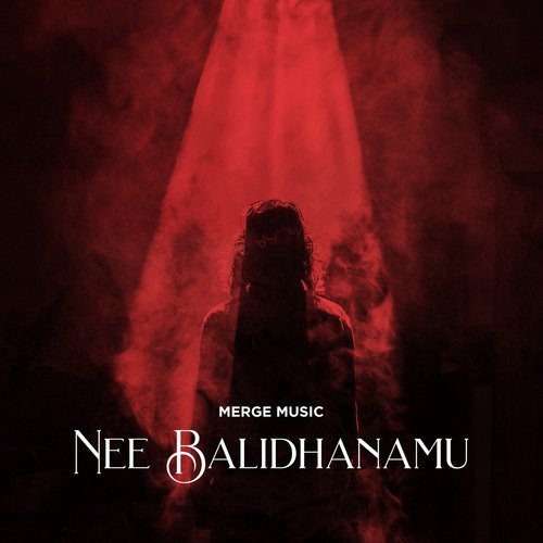 Nee Balidhanamu