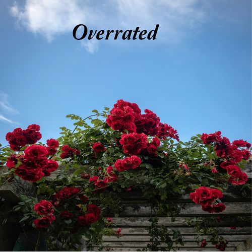 Overrated cover art