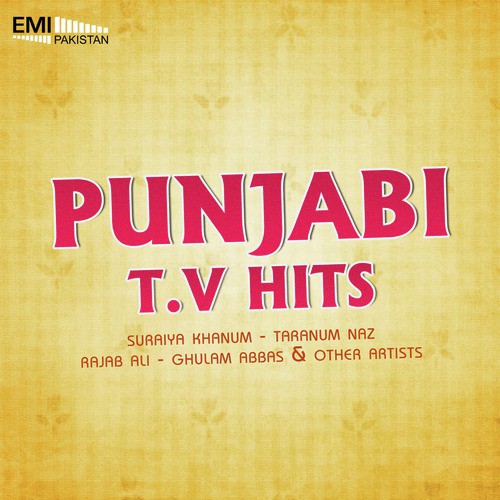 Punjabi TV Hits_poster_image