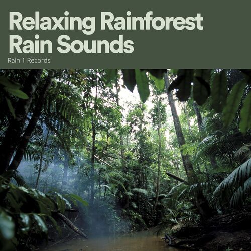 Relaxing Rainforest Rain Sounds_poster_image