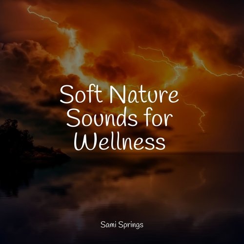 Soft Nature Sounds for Wellness