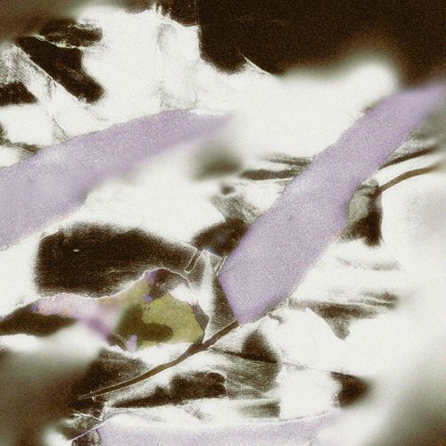 SteeLL (De Grandi Remix) cover art