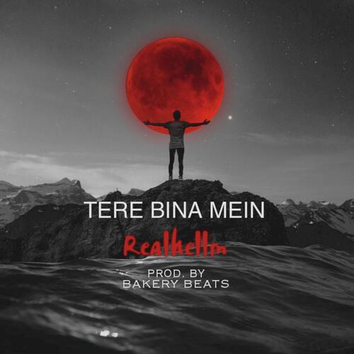 Tere Bina Mein