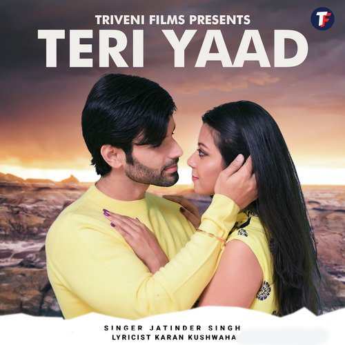 Teri Yaad - Single