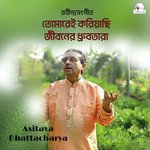 Tomarei Koriyachhi Jiboner