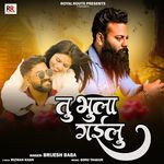 Tu Bhula Gailu