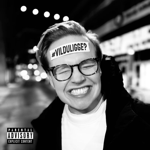 Vil Du Ligge cover art