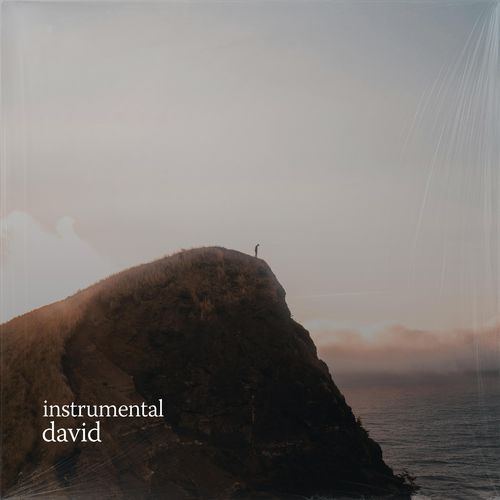 david (no/vox’s version) cover art