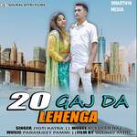 20 Gaj Da Lehnga