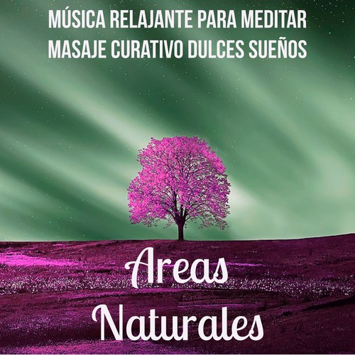 Areas Naturales - Música Relajante para Meditar Masaje Curativo Dulces Sueños con Sonidos Naturales Calmantes Espirituales