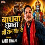 Baghwa ghumata Shri Ram bol ke