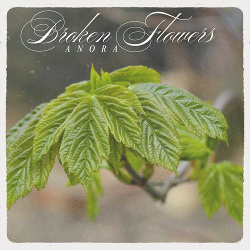 Broken Flowers