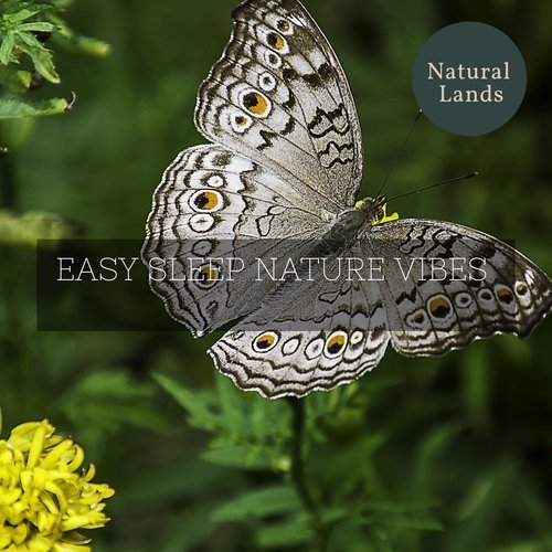 Easy Sleep Nature Vibes