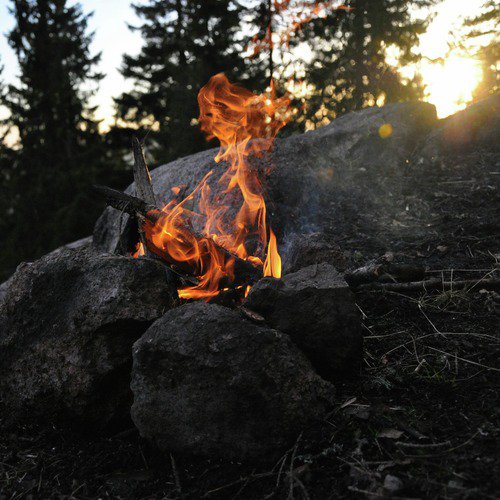 Forest Campfire in the Evening_poster_image