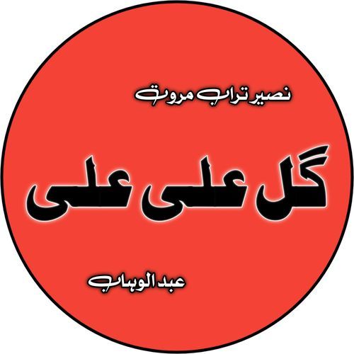 Gull Ali Ali