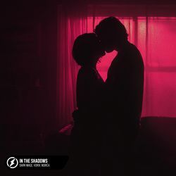 In The Shadows