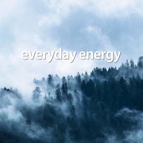 Everyday Energy