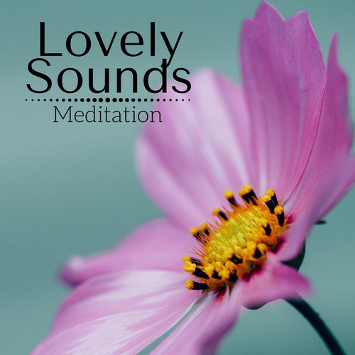 Lovely Sounds: Meditation, Relaxation, Deep Sleep, Natural Ambience Collection_poster_image