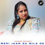 MERI JAAN SU MILA DE