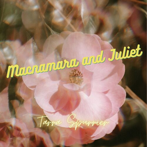 Harriet And The Mullah cover art