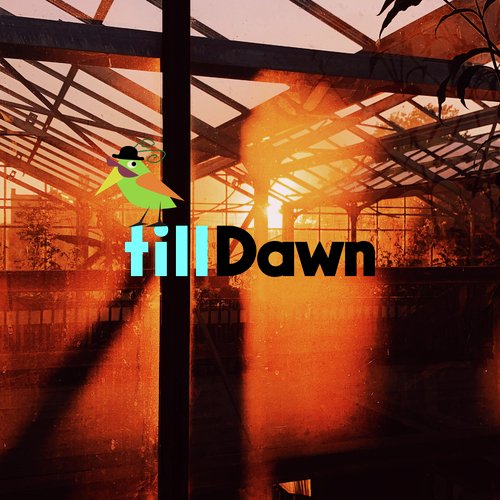 Morning Bird cover art