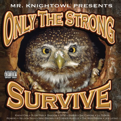 Big Los cover art