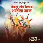 Nighala Joda Bailgada Sharyatila Thatat