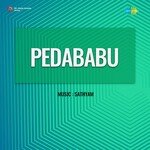 Pedababu