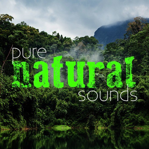 Pure Natural Sounds