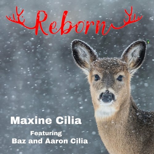 Reborn (feat. Barry Cilia & Aaron Cilia) cover art