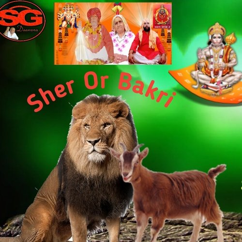 Sher or Bakri