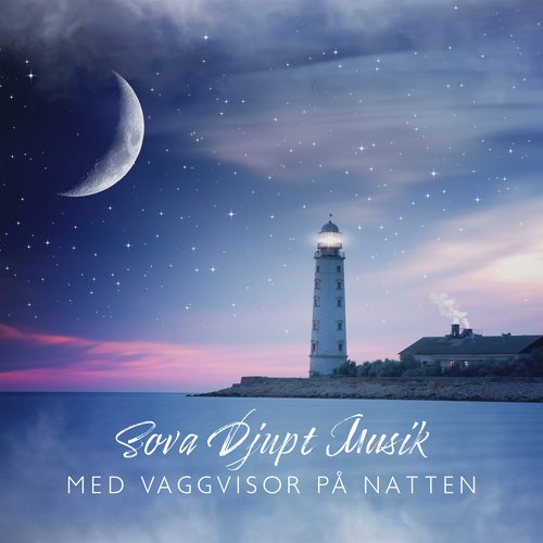 Omgivande för Sömn cover art