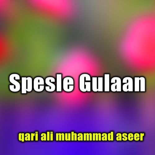 Spesle Gulaan