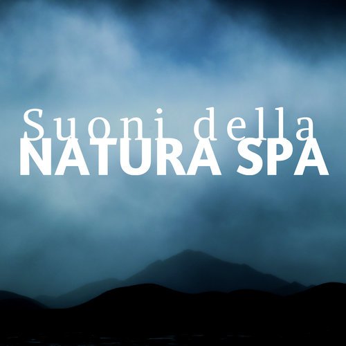 Spa Relax cover art