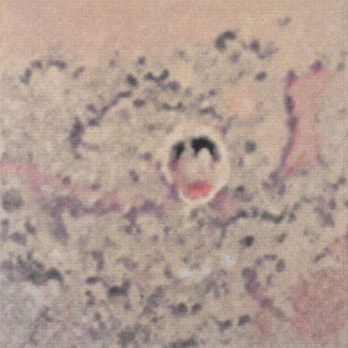 The Omicron Girl cover art