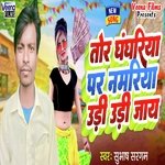 Tor Ghanghriya Par Najriya