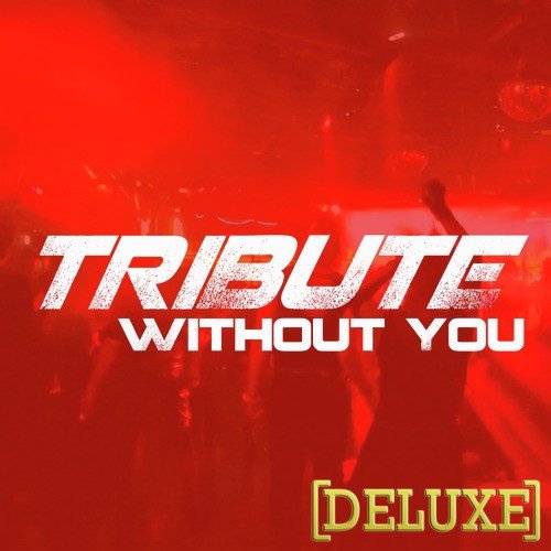 Without You (David Guetta feat. Usher Tribute) - Deluxe Single