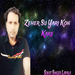 Zeher Su Yari Kon Kare