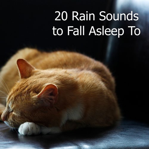 Rain Sound: Baby Bedtime