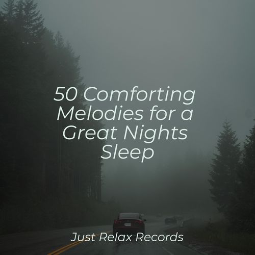 50 Comforting Melodies for a Great Nights Sleep