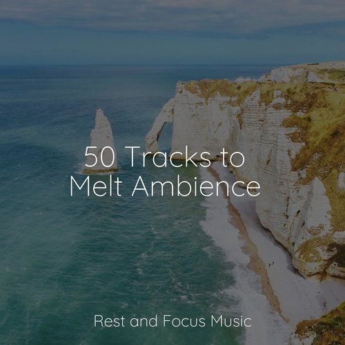 50 Tracks to Melt Ambience_poster_image