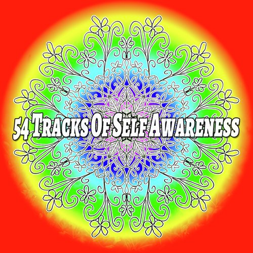 54 Tracks Of Self Awareness