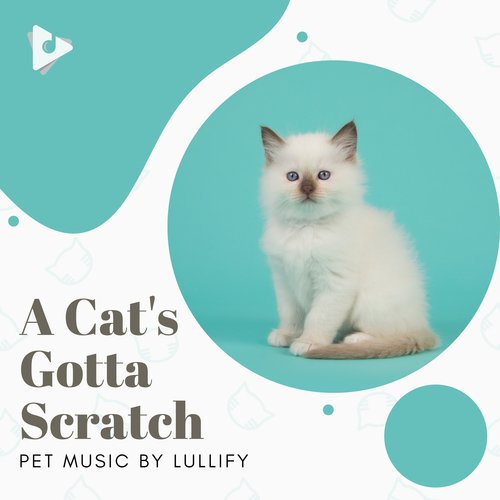 Ok But Pet Me cover art