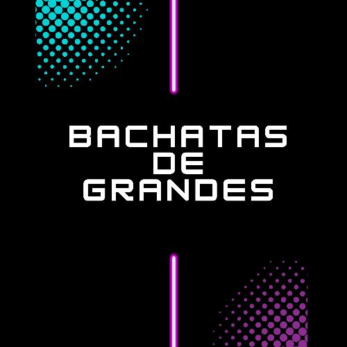 Bachatas de grandes