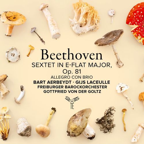 Beethoven: Sextet in E-Flat Major, Op. 81b: I. Allegro con brio_poster_image