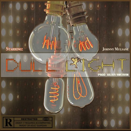 Dull Light cover art